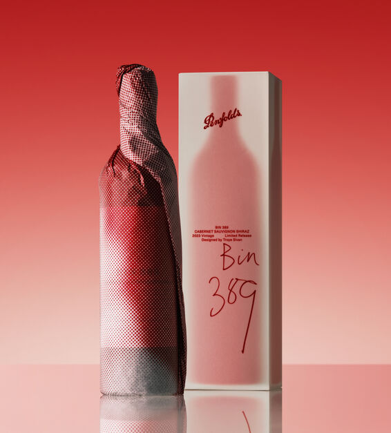 Bin 389 Cabernet Shiraz 2023 by Troye Sivan